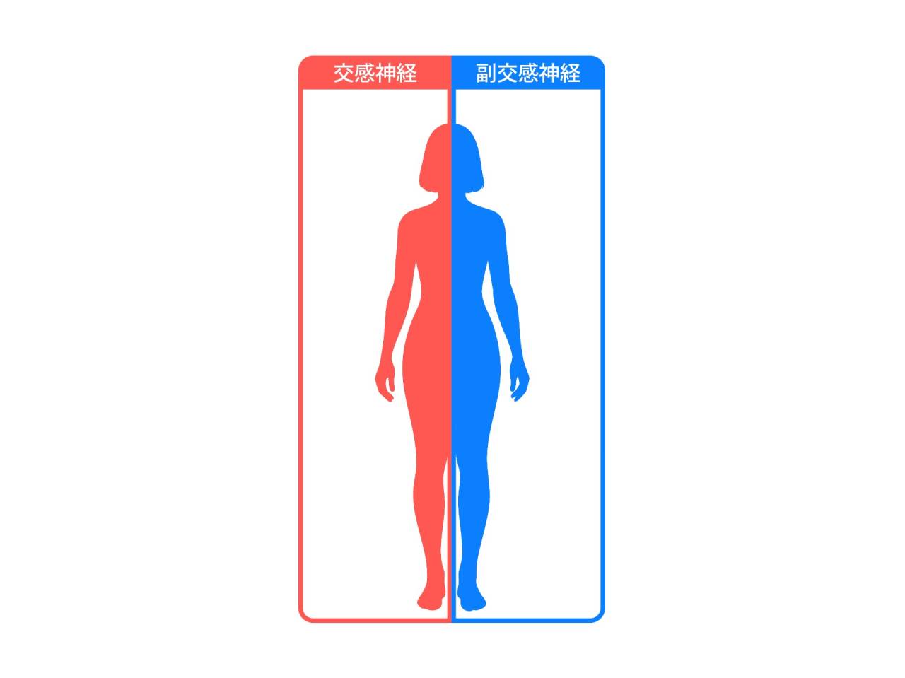 顎関節(あご)についての整体　第5回