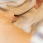 肩こり